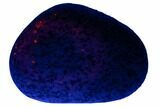 Fluorescent Yooperlite Pebble - Michigan #177498-1